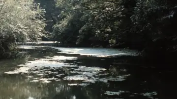 Задник к фильму "Nostos: il ritorno" #1210940