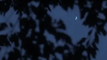 Задник к фильму "Nostos: il ritorno" #1210949
