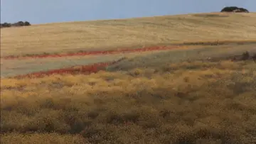 Задник к фильму "Nostos: il ritorno" #1210968
