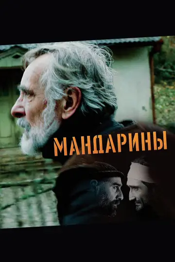 Постер к фильму "Мандарины" #440329