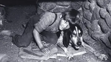 Задник к фильму "A Boy and His Dog" #1810848