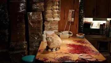 Задник к фильму "Голоса" #905596