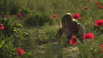 Задник к фильму "Mama Europa" #1200627