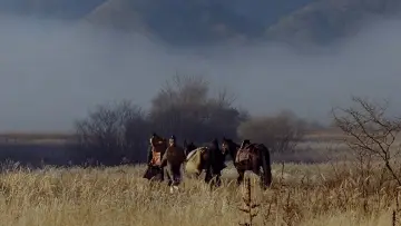 Задник к фильму "Убийца" #943561