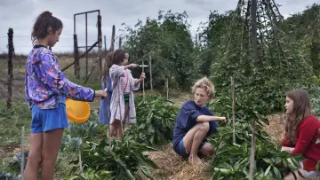 Задник к фильму "Чудеса" #1077014