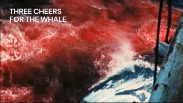 Задник к фильму "Vive la baleine" #1574441