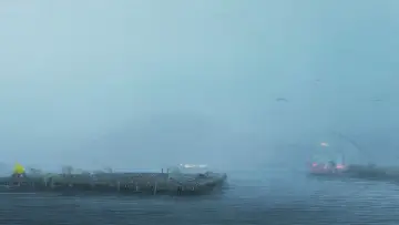 Задник к фильму "Entre Bateas" #1162613