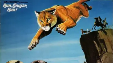 Задник к фильму "Run, Cougar, Run" #1042835