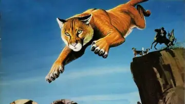 Задник к фильму "Run, Cougar, Run" #404459
