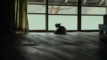 Задник к фильму "Маленький лес. Лето, осень" #853897