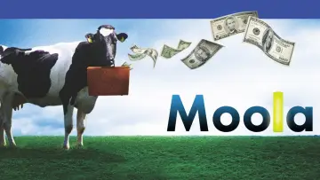Задник к фильму "Moola" #1108782