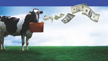Задник к фильму "Moola" #1108784