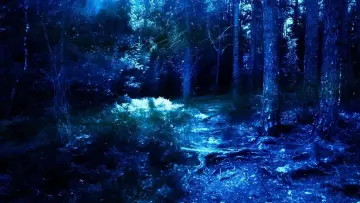 Задник к фильму "Дьяволы" #1582888