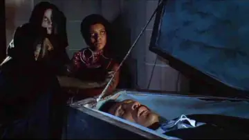 Задник к фильму "Blacula" #481393