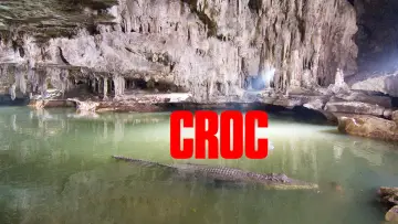 Задник к фильму "Croc" #1130605
