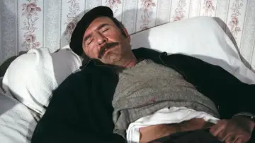 Задник к фильму "Галеты из Понт-Авена" #1573248