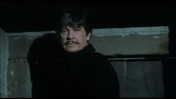Задник к фильму "Любовь и пули" #440653