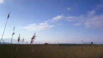 Задник к фильму "Дочь Райана" #1894650