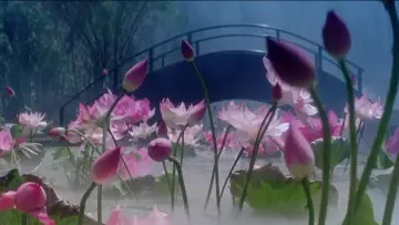 Задник к фильму "青蛇" #903052