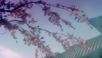 Задник к фильму "青蛇" #903080