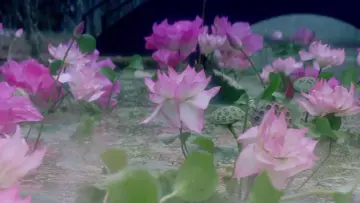 Задник к фильму "青蛇" #903096
