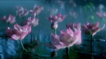 Задник к фильму "青蛇" #903106