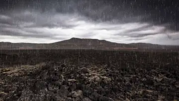 Задник к фильму "Mass Extinction: Life at the Brink" #1624630