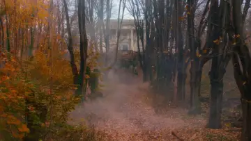 Задник к фильму "Величайший шоумен" #580215