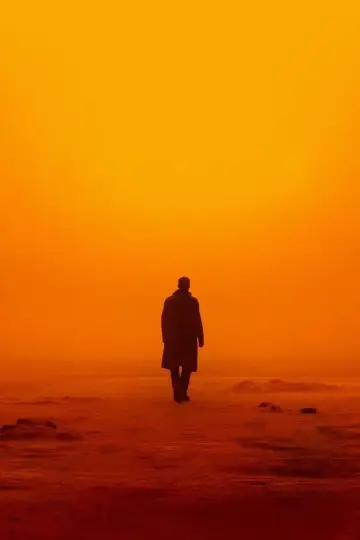 Постер к фильму "Бегущий по лезвию 2049" #830175