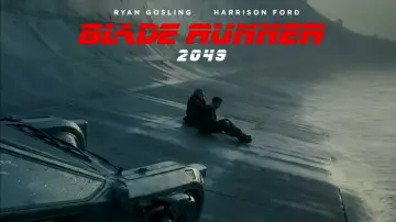 Задник к фильму "Бегущий по лезвию 2049" #8629
