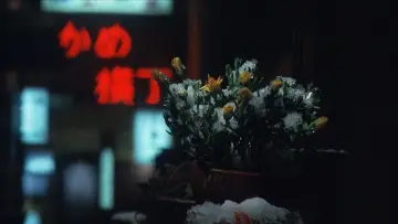 Задник к фильму "Зимний цветок" #1619979