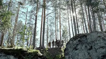 Задник к фильму "А Зори Здесь Тихие..." #446786