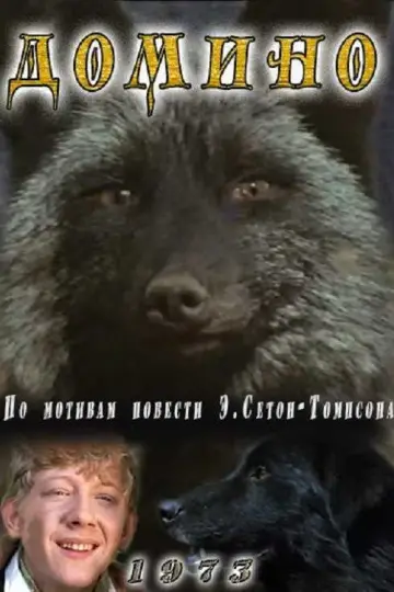 Домино постер