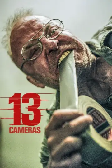13 камер постер