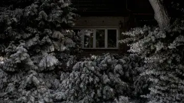 Задник к фильму "Берлинский синдром" #1002611