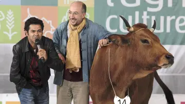 Задник к фильму "La Vache" #264401