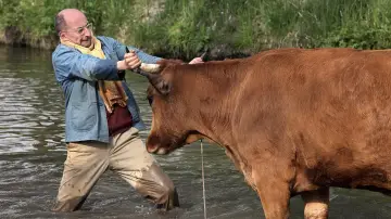 Задник к фильму "La Vache" #264404