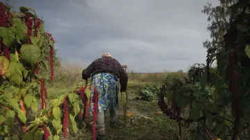 Задник к фильму "Neredzamā pilsēta" #1271197