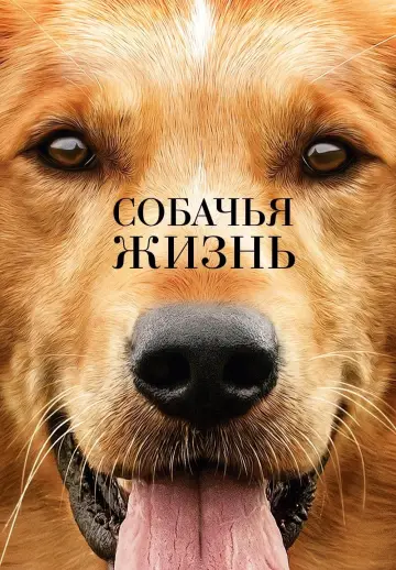 Постер к фильму "Собачья жизнь" #41271
