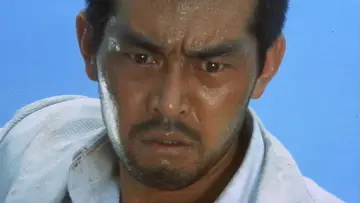 Задник к фильму "野良犬" #1621759