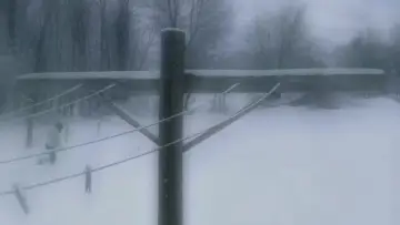 Задник к фильму "God Knows Where I Am" #1150189