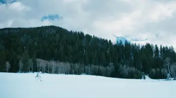 Задник к фильму "Ветреная река" #701746