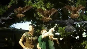 Задник к фильму "Birdemic: Shock and Terror" #1067104