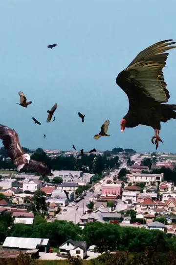 Постер к фильму "Birdemic: Shock and Terror" #1067111