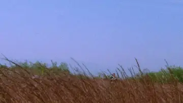 Задник к фильму "Меч отмщения" #1021494