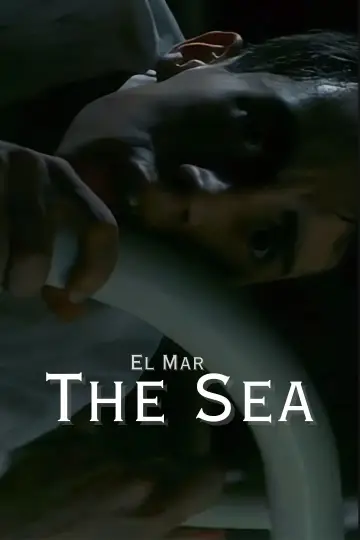 Море