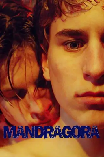 Постер к фильму "Мандрагора" #945724