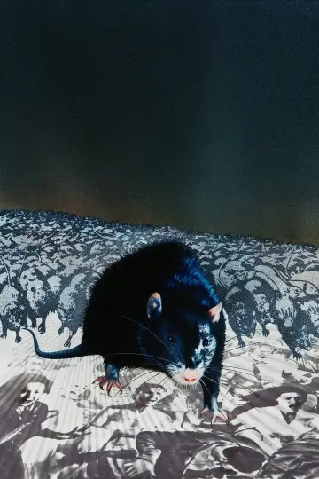 Бен