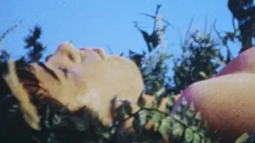 Задник к фильму "Pink Narcissus" #1112128