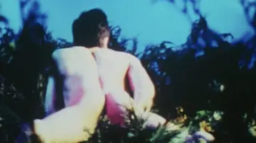 Задник к фильму "Pink Narcissus" #1112130